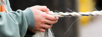 Tail