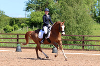 Novice 24