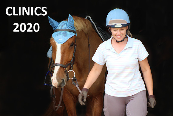 Clinic 2020 b