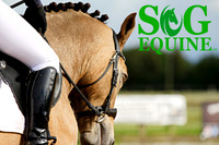 S&G Equine Ltd