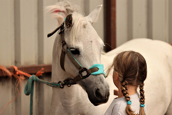 IMG_5585